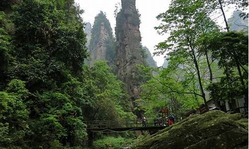 武汉到张家界旅游攻略自由行三天_武汉到张家界旅游攻略