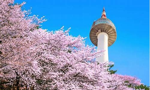 合肥到韩国飞机几个小时_合肥到韩国自由行旅游